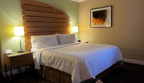 Standard Room, 1 King Bed