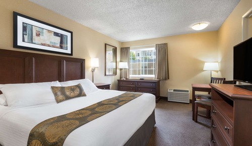 Room, 1 Queen Bed