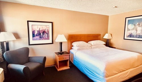 Business Room, 1 King Bed