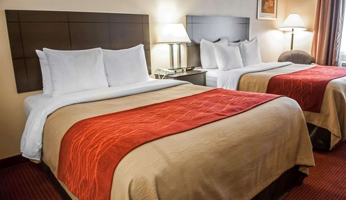 Standard Room, 2 Queen Beds, Non Smoking (First Floor)