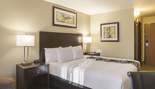 Room, 1 King Bed