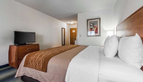 Standard Room, 1 King Bed, Non Smoking