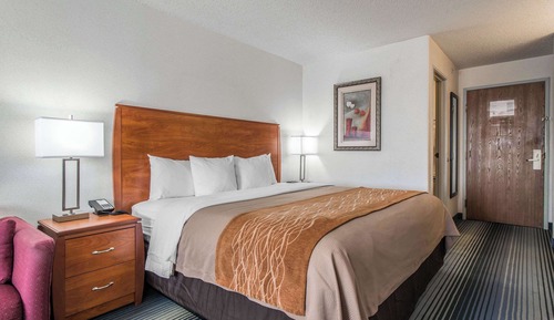 Standard Room, 1 King Bed with Sofa bed, Non Smoking