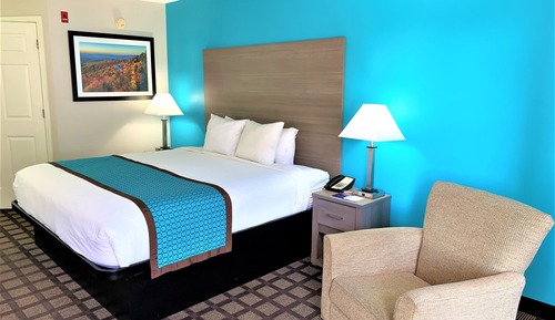 Room, 1 King Bed, Accessible, Non Smoking