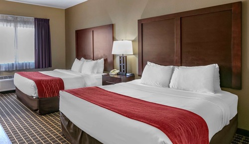 Standard Room, 2 Queen Beds, Refrigerator & Microwave