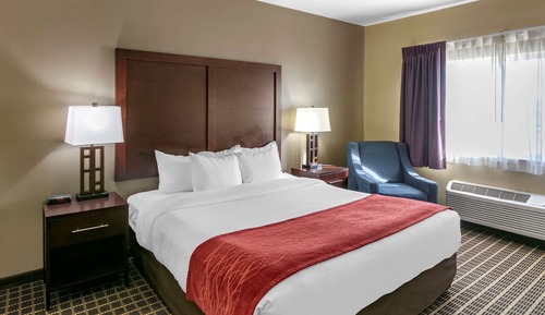 Room, 1 King Bed, Accessible, Non Smoking (Roll-In Shower)