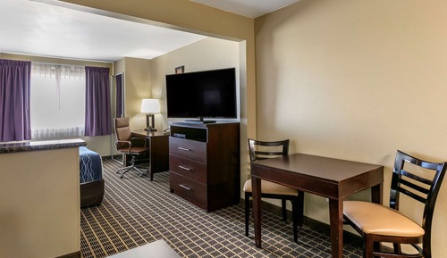 Business Suite, 1 King Bed with Sofa bed, Refrigerator & Microwave