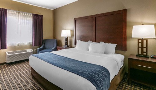 Business Room, 1 King Bed, Refrigerator & Microwave, Mountain View