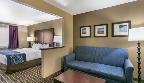 Suite, 1 King Bed with Sofa bed, Accessible, Non Smoking