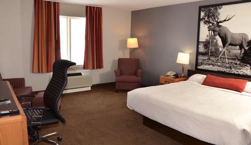 Room, 1 King Bed, Non Smoking