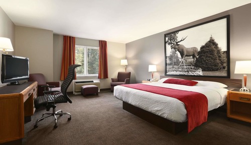 Room, 1 King Bed, Accessible, Non Smoking (Mobility Accessible)