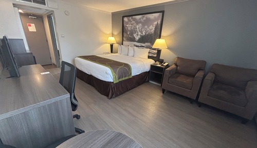 Room, 1 King Bed, Non Smoking