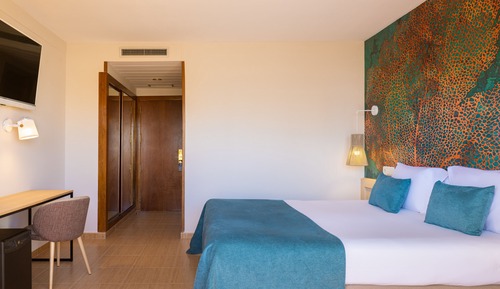 Superior Single Room