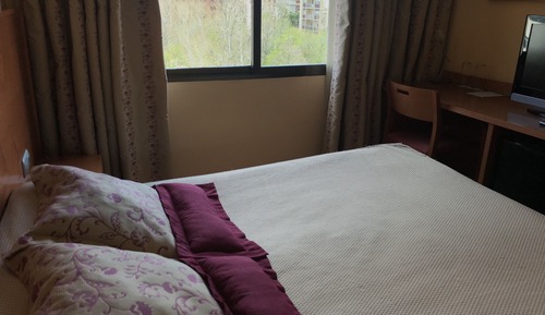 Double Room Single Use