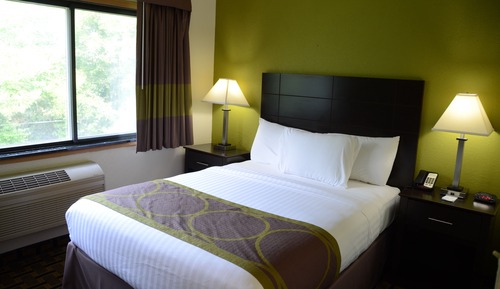 Suite, 1 Queen Bed, Non Smoking (One-Bedroom)