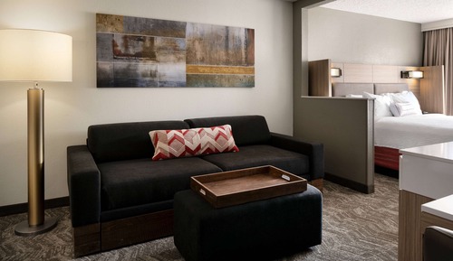Suite, 1 King Bed with Sofa bed