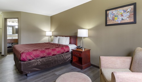 Room, 1 King Bed, Non Smoking