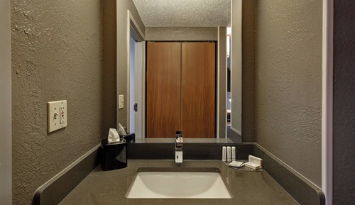 Room, 1 King Bed, Non Smoking (Mobility/Hearing Access, Roll-in Shwr)