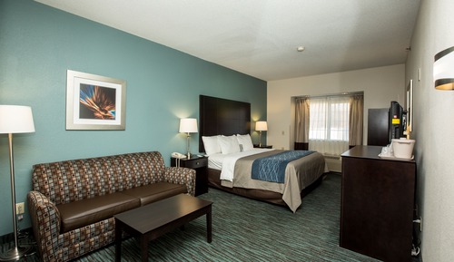 Standard Room, 1 King Bed with Sofa bed, Non Smoking