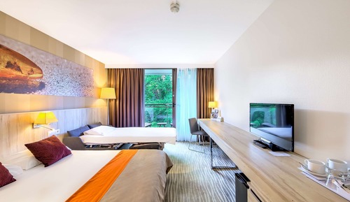 Classic Room, 1 Double Bed with Sofa bed (Comfortable)