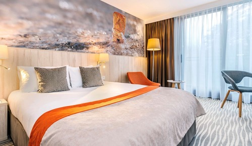 Privilege, Comfort Room, 1 Double Bed