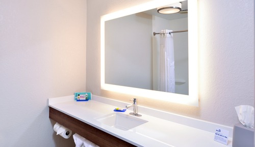 Standard Room, 1 King Bed, Mobility Accessible (Roll-In Shower, Communications)