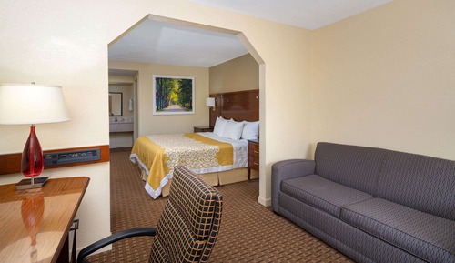 Suite, 1 King Bed, Refrigerator