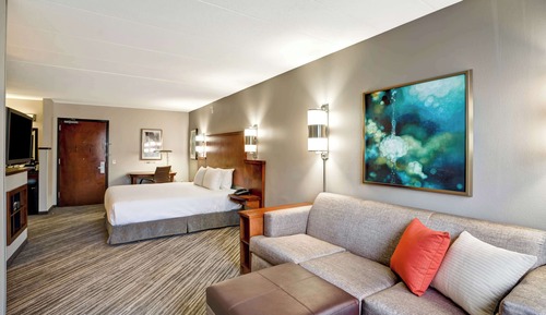 Room, 1 King Bed, Accessible