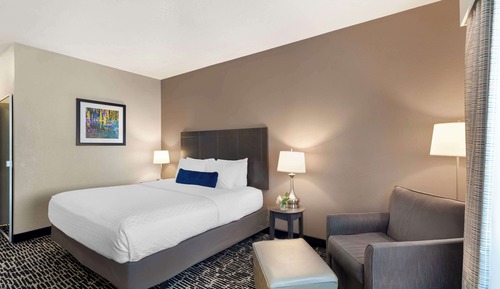 Standard Room, 1 King Bed, Accessible, Refrigerator & Microwave