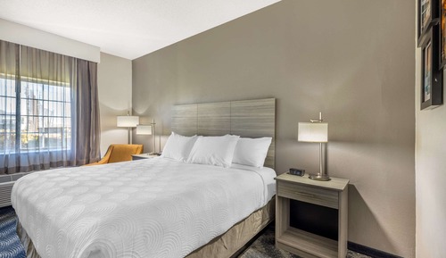 Comfort Room, 1 King Bed, Non Smoking (Roll-In Shower)
