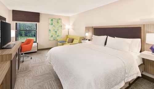 Room, 1 King Bed, Non Smoking, Refrigerator & Microwave