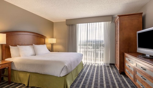 Suite, 1 King Bed, Non Smoking (No Sofa Bed)