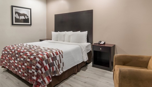 Superior Room, 1 King Bed, Non Smoking