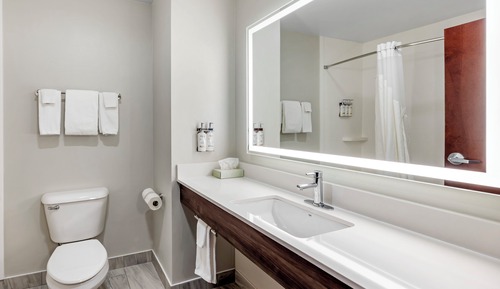 Suite, 1 King Bed with Sofa bed