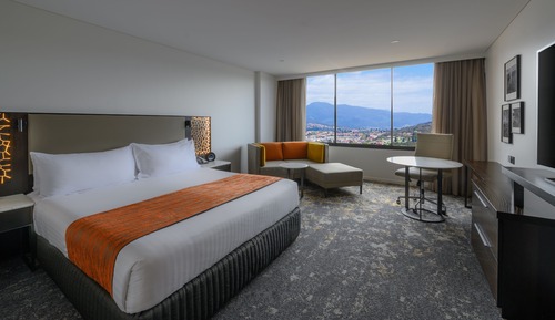 Standard Room, 1 King Bed, City Side