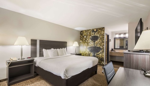 Standard Room, 1 King Bed, Non Smoking