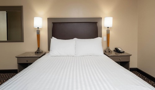 Standard Room, 1 Queen Bed, Pets Allowed