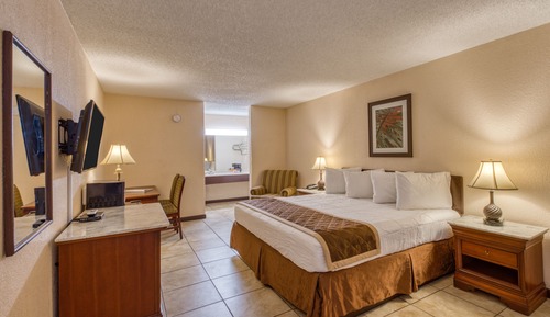 Room, 1 King Bed, Non Smoking