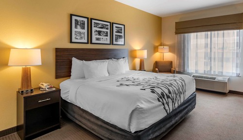 Room, 1 King Bed, Non Smoking (Efficiency)