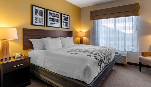 Suite, 1 King Bed with Sofa bed, Non Smoking