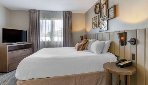 Suite, 1 King Bed, 2 Person Sofa bed, Roll-In Shower, Accessible, Non Smoking