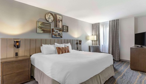 Suite, 1 King Bed, Living Room, Wet Bar, Non-Smoking