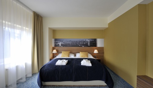 Business Room, 1 King Bed