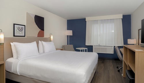 Room, 1 King Bed