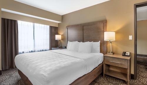 Suite, 1 King Bed, Non Smoking, Kitchen (with Single Sofabed)