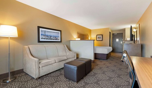 Standard Room, 1 King Bed, Accessible, Bathtub (with Single Sofabed)