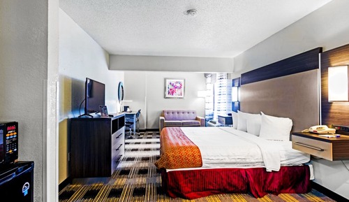 Room, 1 King Bed, Non Smoking