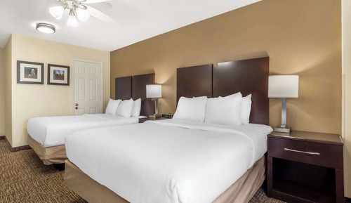Basic Room, Multiple Beds, Non Smoking