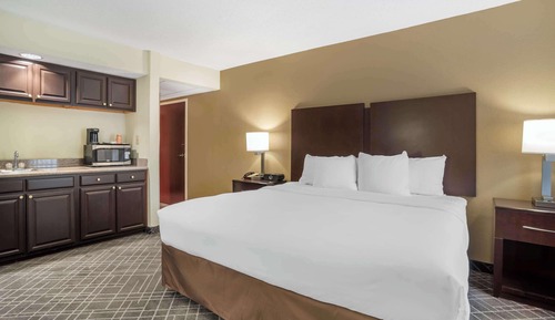 Business Suite, 1 King Bed with Sofa bed, Non Smoking