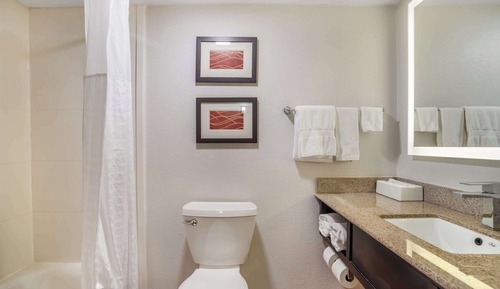 Business Suite, Multiple Beds, Non Smoking